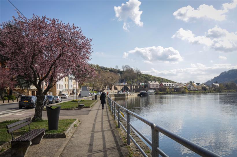 Ein gutes Gläschen Moselwasser: Eine Studie soll nun die Umsetzung diesbezüglicher Pläne überprüfen
