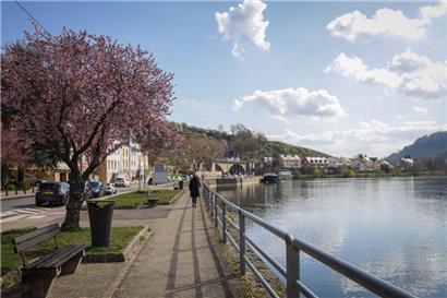 Ein gutes Gläschen Moselwasser: Eine Studie soll nun die Umsetzung diesbezüglicher Pläne überprüfen
