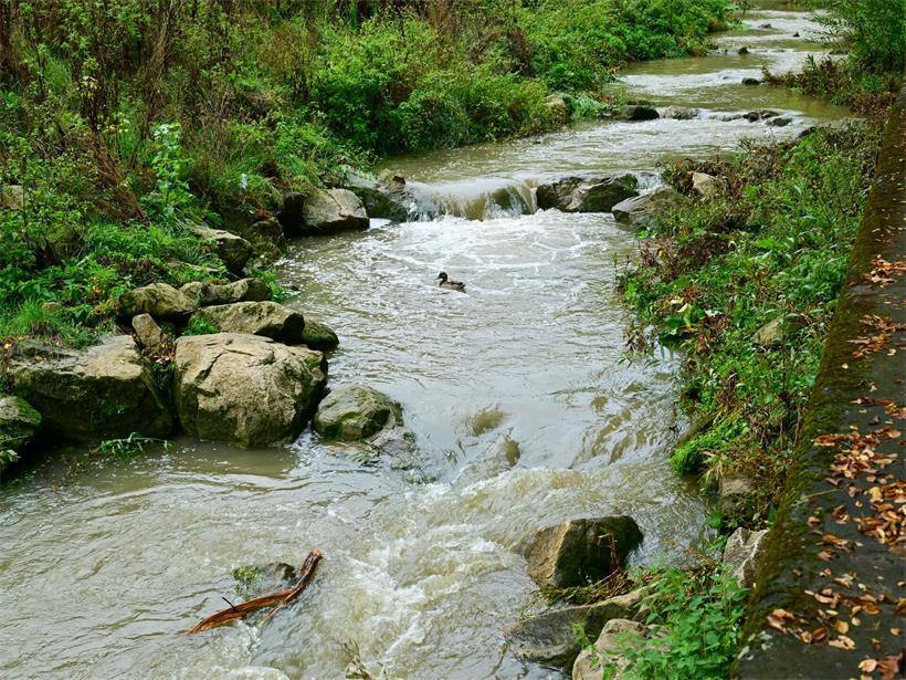 Ein renaturierter Fluss – hier die Petruss – ist besser gegen Extreme gewappnet