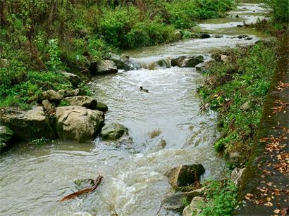 Ein renaturierter Fluss – hier die Petruss – ist besser gegen Extreme gewappnet