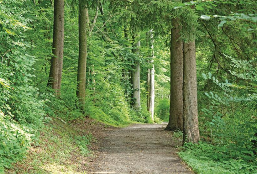 Ein tragischer Unfall hat sich auf einem Wanderweg bei Lellig ereignet
