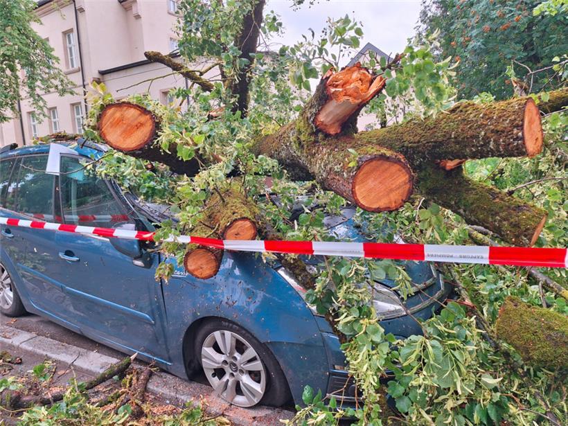 Ein von einem umgefallenen Baum beschädigtes Auto in der Escher Léon-Metz-Straße
