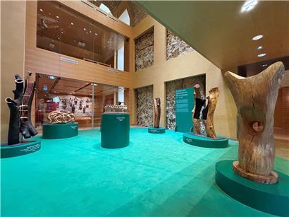 165 Jahre alte Rotbuche mit neun künstlerischen Skulpturen – nachhaltige Kunst im Wald erleben