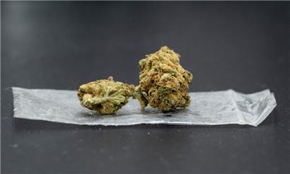 Eine Cannabisblüte liegt auf einem Plastikbeutel
