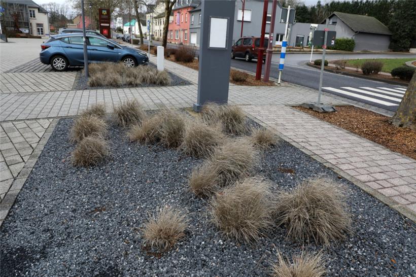 Eine Einwohnerin aus der Gemeinde wünscht sich mehr Blumen in den Dörfern