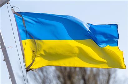 Eine Flagge der Ukraine
