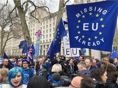 Eine Gruppe von Brexit-Gegnern hat sich in London vor Downing Street versammelt. Sie wurden von Brexit-Befürwortern begleitet und teils heftig beleidigt.
