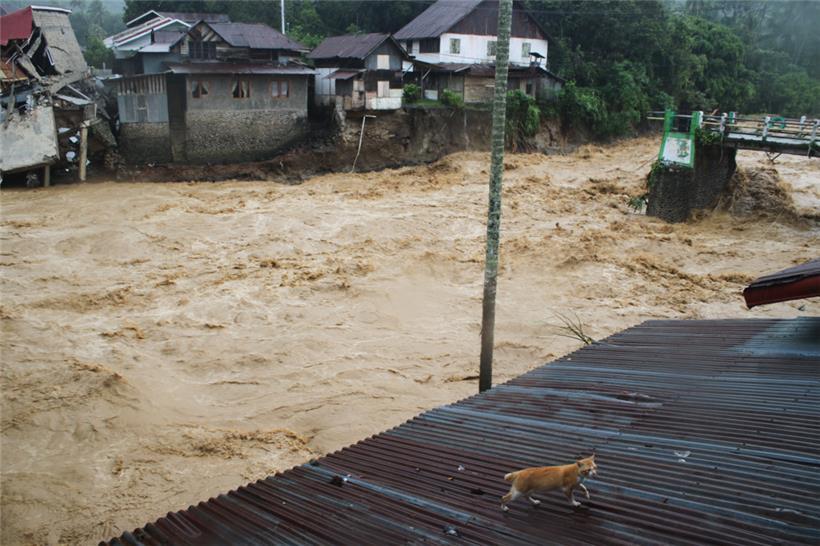 Eine Katze läuft auf dem Dach eines Hauses in der Nähe einer Brücke und von Gebäuden, die durch Überschwemmungen beschädigt wurden
