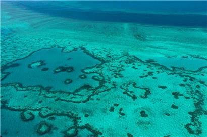 Eine Luftaufnahme eines Teils des Great Barrier Reef aus dem Jahr 2014
