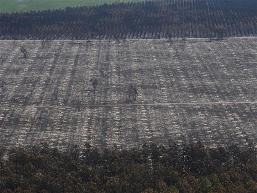Eine Luftaufnahme von verbrannter Erde und Wald