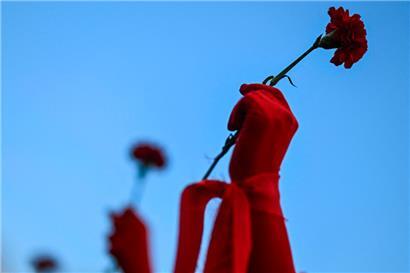 Eine Nelke ist eine Nelke ist eine Nelke. Sie macht noch keine Revolution aus, hat aber hohen Symbolwert in Portugal.
