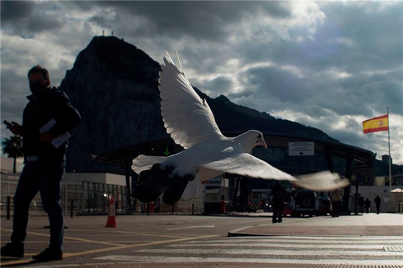 Eine Taube fliegt über die Grenze zwischen Spanien und dem britischen Hoheitsgebiet Gibraltar – bald fallen auch für Menschen die Kontrollen weg
