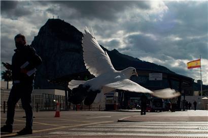 Eine Taube fliegt über die Grenze zwischen Spanien und dem britischen Hoheitsgebiet Gibraltar – bald fallen auch für Menschen die Kontrollen weg
