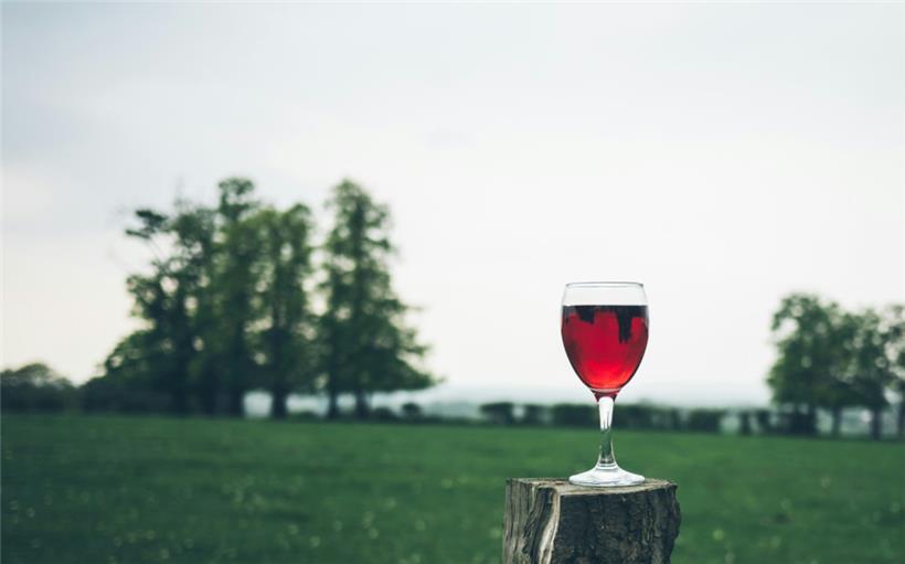 Eine „absolut sichere Menge“ an Alkohol gibt es laut der Studie nicht
