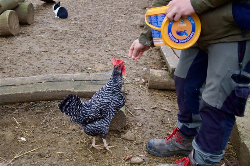 Eine ausgewogene Ernährung ist wichtig