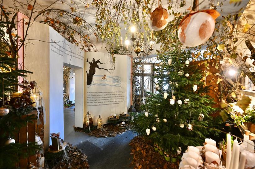 Eine außergewöhnliche Adventsausstellung wird momentan in Schifflingen geboten. Verantwortlich dafür ist der Blumenladen „De Fleurs en Fleurs“.
