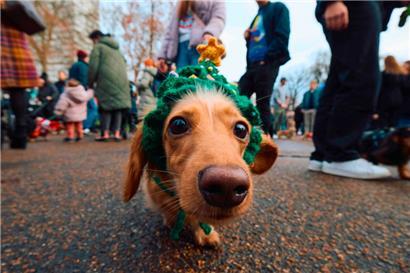 Eine besondere Gassirunde im Hydepark gab es am Sonntag
