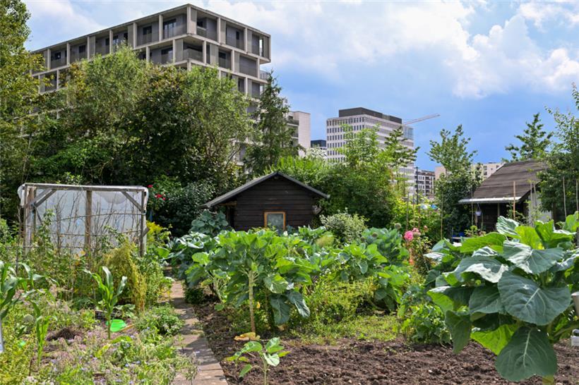 Eine grüne Oase inmitten der Betonwüste: die Gartenanlage der „Gaart an Heem“-Sektion Gasperich 

