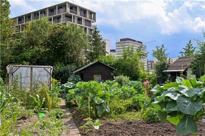 Eine grüne Oase inmitten der Betonwüste: die Gartenanlage der „Gaart an Heem“-Sektion Gasperich 
