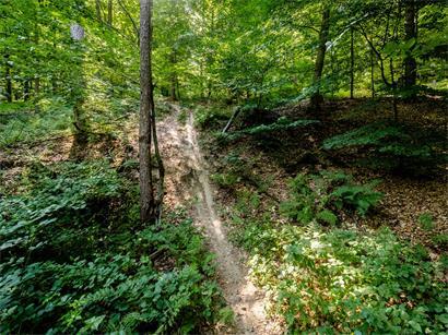 Mountainbike-Singletrail im Wald zwischen Eberstadt und Grantschen, nahe Heilbronn, Szene eines Prozessstarts 2026 wegen versuchten Mordes