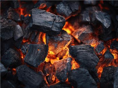 Kriminelle Gruppe verkauft europaweit giftige Industrieasche als Grillkohlebriketts und Dünger