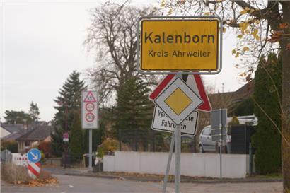 Eine mögliche Großkatze ist in einem Waldgebiet im nördlichen Rheinland-Pfalz gesichtet worden
