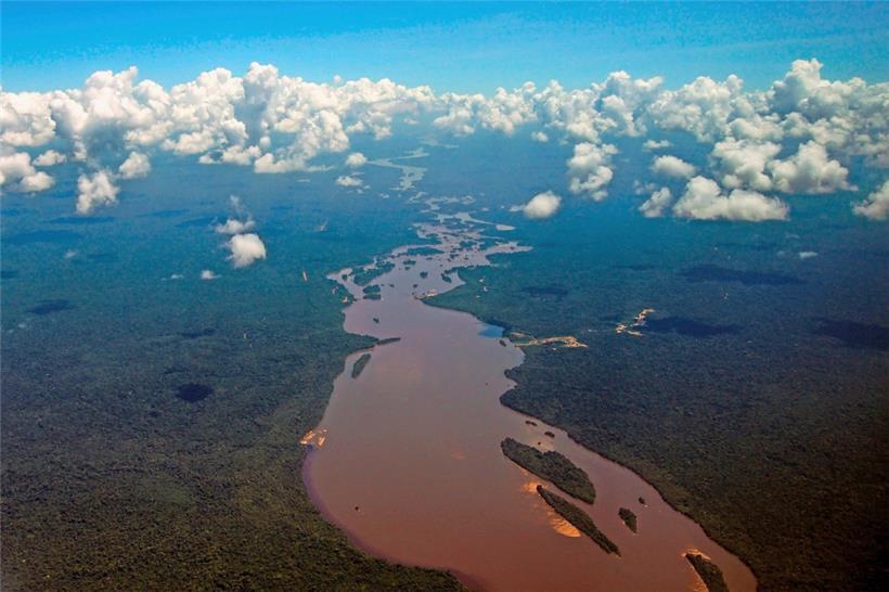 Eine sich selbst überlassene Natur tendiert zum Verwuchern 
