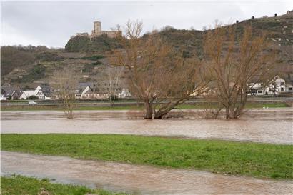 Eine ufernahe Wiese in Rheinland-Pfalz ist vom Moselhochwasser überflutet. Im Hintergrund sind Kobern-Gondorf und die Oberburg zu sehen.
