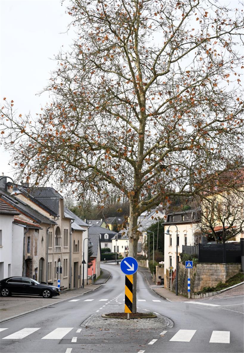 Einen hauptberuflichen Bauern gibt es noch in der ländlichen Gemeinde