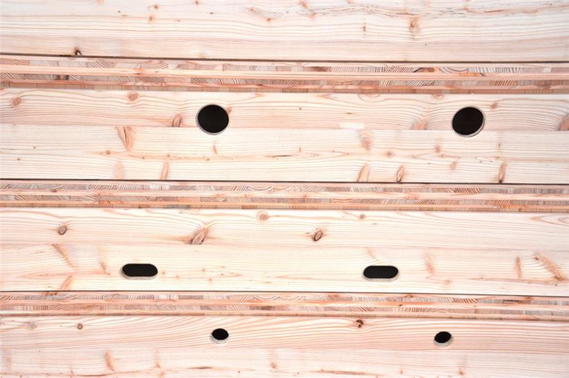 Einfluglöcher im Nistkasten