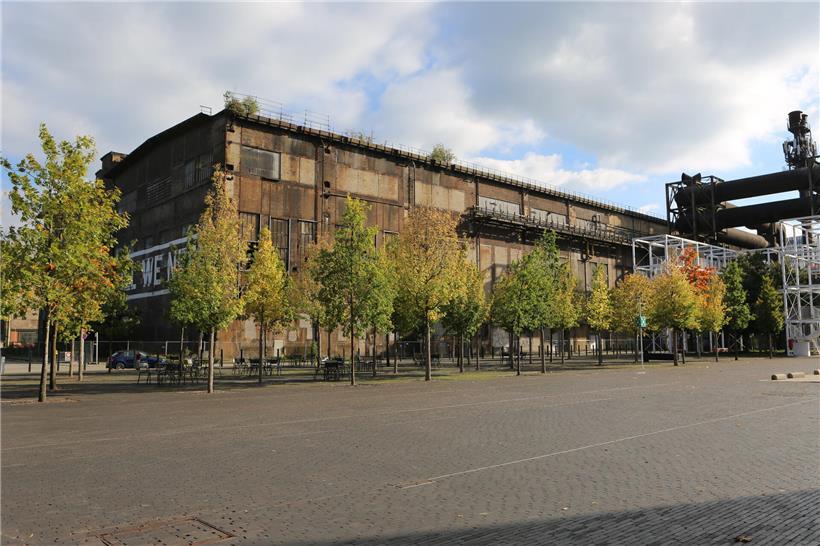 Mehrere Bäume zwischen grauem Beton, aktuelle städtische Landschaft mit Natur und Betonflächen kombiniert