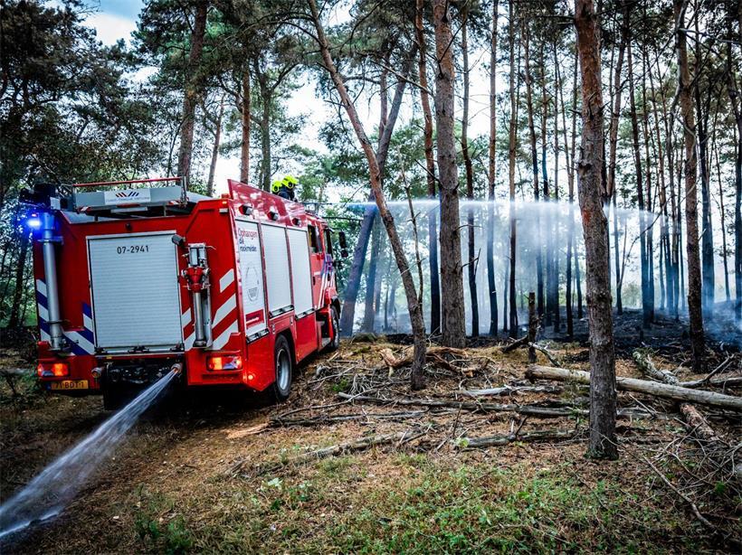 Einsatzkräfte der Feuerwehr bei einem Waldbrand im Naturgebiet im Osten der Niederlande