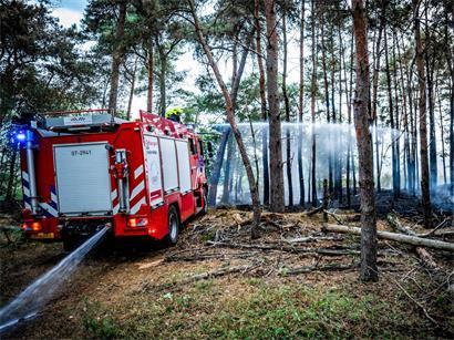 Einsatzkräfte der Feuerwehr bei einem Waldbrand im Naturgebiet im Osten der Niederlande