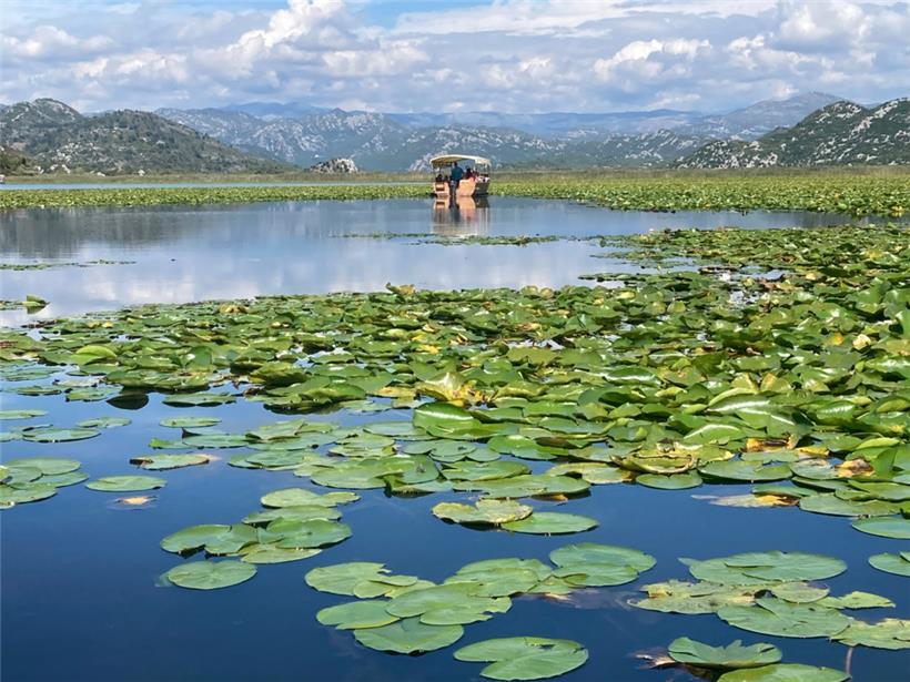 Einzigartiges Vogelschutzgebiet: Ausflugsboote auf dem montenegrinisch-albanischen Skadarsee
