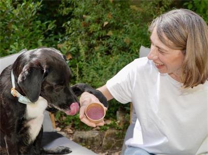 Eiszeit für Lucien: Der Border-Collie-Mix liebt seine Abkühlung mit Heidelbeeren, Apfel und Kokosmilch über alles