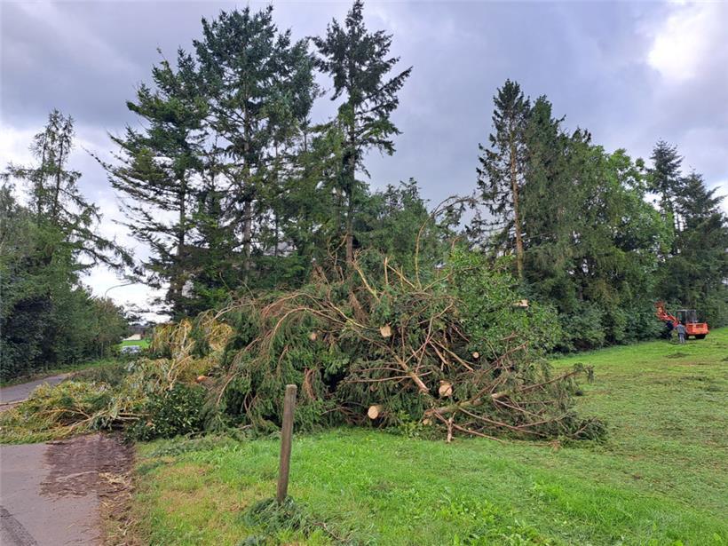 Entlang der Straße haben Helfer abgebrochene Äste und abgeknickte Bäume gestapel...