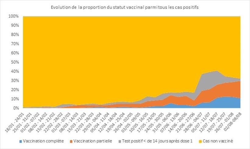 Entwicklung der Coronafälle mit Impfstatus
