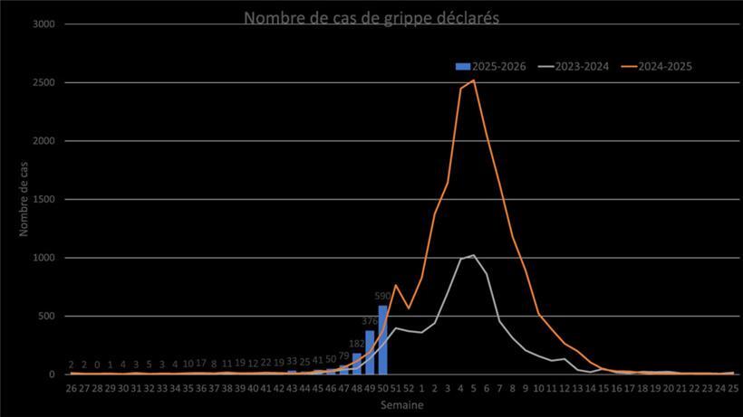 Entwicklung der deklarierten Grippefälle