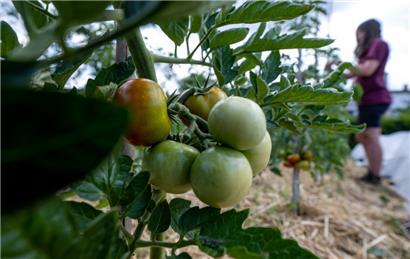 Ernährungssouveränität ist einer der zentralen Punkte einer nachhaltigen Entwicklung

