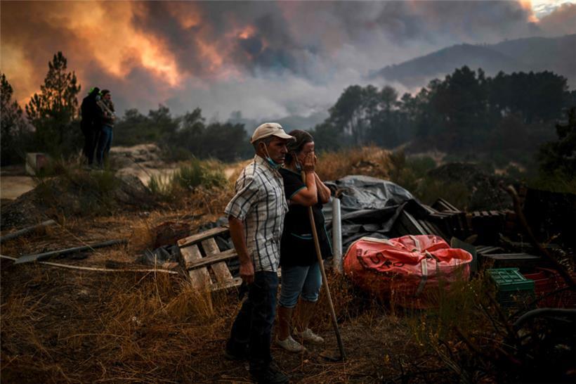 Erschütterung nach einem Waldbrand in Portugal: Der Bericht vermittelt eindringlich, dass es nicht zu spät ist
