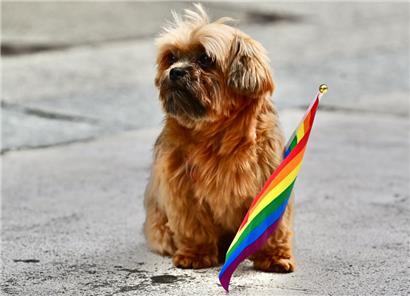 Erst wenn Tom Weidig bei der nächsten Pride die Fahne schwingt, glaubt der Politflüsterer ihm – ein bisschen
