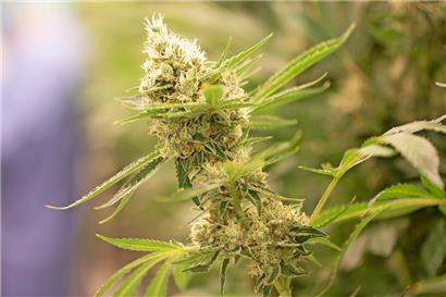 Erstellung der Eckpunkte war „keine Kleinigkeit“
