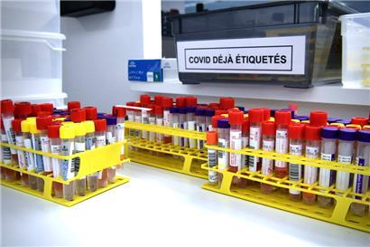 Etikettierte PCR-Tests in einem Labor in Luxemburg
