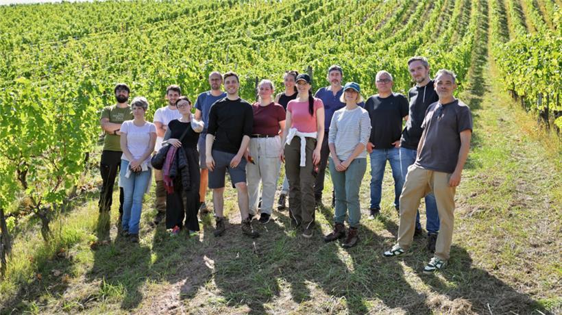 Etwas erschöpft und sehr zufrieden: das Tageblatt-Team im Weinberg
