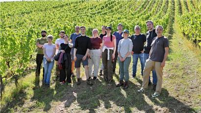 Etwas erschöpft und sehr zufrieden: das Tageblatt-Team im Weinberg
