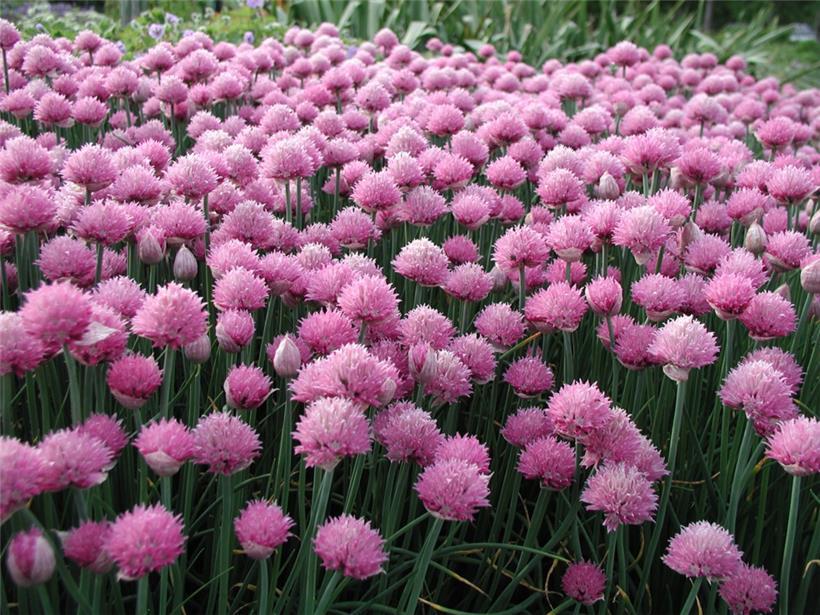 Etwas für die Sinne
