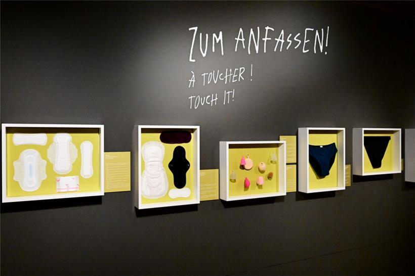 Exponate zum Anfassen
