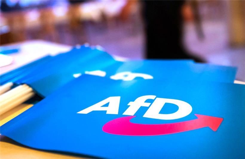 Fähnchen mit dem Logo der AfD liegen auf einem Tisch
