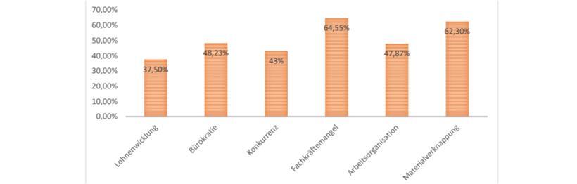 Faktoren, die einen negativen Impakt auf die Rentabilität der Firmen haben
