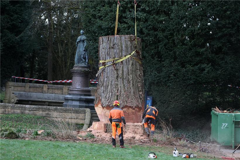 Fast geschafft: nahaufnahme eines letzten, leckeren Stücks Kuchen auf einem Teller